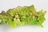 Apple-Green Pyromorphite Crystal Cluster - China #179818-2